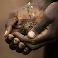 Grow in Me